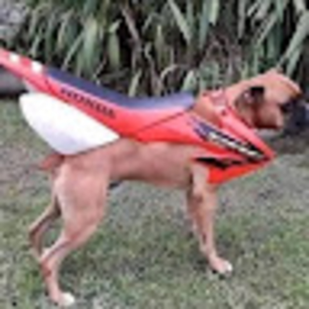 Meet your Posher, Tristan